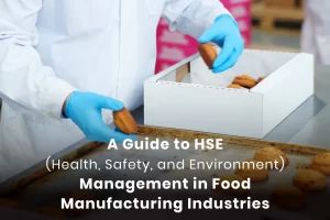A-Guide-to-HSE