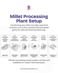 Millet Processing Plant Guide: Equipment Selection, Layout and Best Practices
